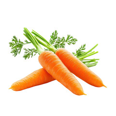 Freshly harvested orange carrots with green tops