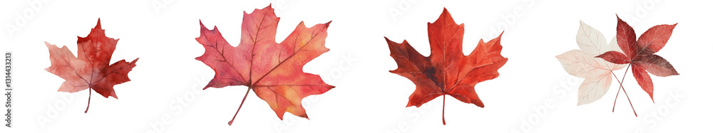 Poster a detailed and beautiful illustration of an autumn leaf in watercolor style with gradient colors, is