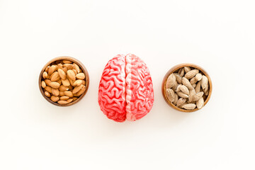 Human brain model and nuts in bowl, top view. Healthy food for the brain