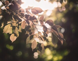 木々と木漏れ日、光が透ける葉. generated by AI