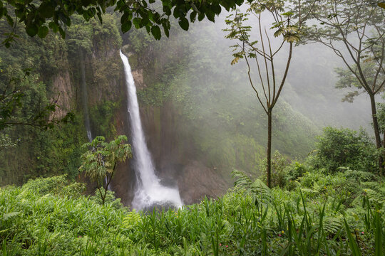 Toro Waterfall, Catarata Del Toro, Alajuela Province, Bajos Del Toro, Costa Rica