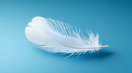 Obraz premium Nature's Elegance The Grace of a Single Feather in Close-up