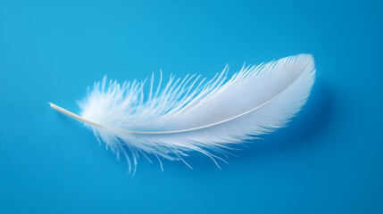 Obraz premium Ethereal Lightness A Feather's Delicate Beauty in Detail