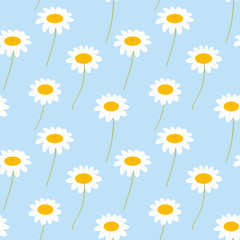 Seamless pattern with field of chamomile flowers, texture, Bouquet of wildflowers, vector illustration.