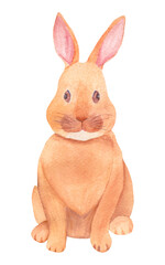 Watercolor rabbit illustration. Hand drawn cute brown hare.