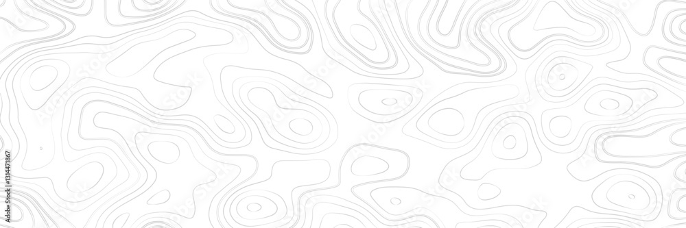 Poster vector topographic background. shape contour line map of the terrain.