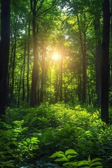 Obraz premium A tranquil forest scene with lush greenery and soft sunlight filtering through tall trees, creating a serene natural atmosphere.