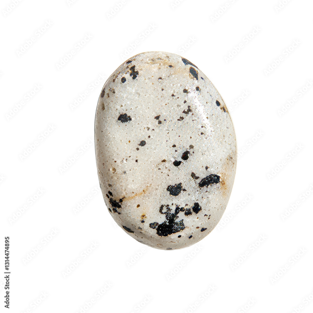 Poster a rounded smooth stone pebble with natural texture is presented, its organic shape ideal for use in 