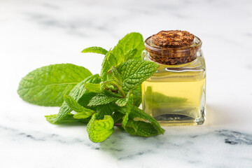 Fresh mint and mint oil
