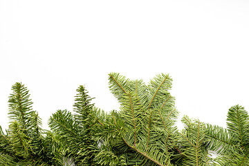 Green fir branches on white background. Winter fir and pine eco decor. Top view