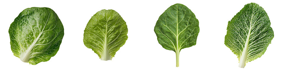 This close-up image highlights a vibrant green lettuce leaf with a fresh texture, great for salads, garnishes, and healthy eating, isolated on a transparent background and available in png
