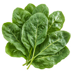 Obraz premium Fresh Green Spinach Leaves, Healthy Diet, Vegetable, Food, Nature