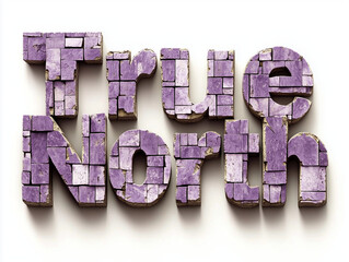 True North Logo