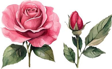 Naklejka premium watercolor pink rose flower bouquet set for valentines day