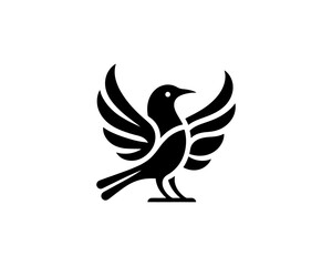 Flying bird logo design icon symbol vector illustration.