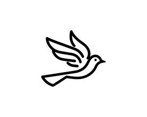 Flying bird logo design icon symbol vector illustration.