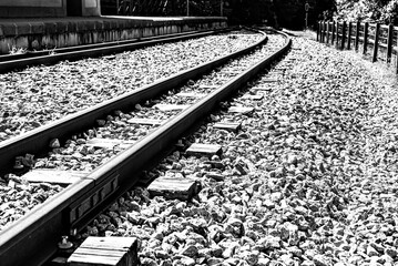 Empty train track through forest nature. Metal rails. Black and white effect
