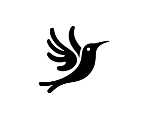 Flying bird logo design icon symbol vector illustration.