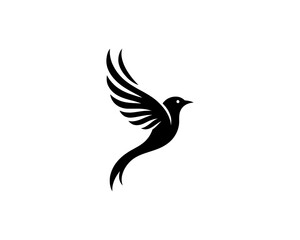Flying bird logo design icon symbol vector illustration.