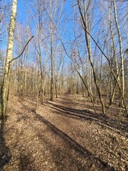 Wonderful Plänterwald Landscape in Berlin - Spring Season