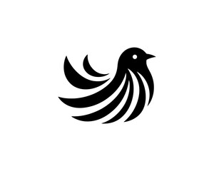 Flying bird logo design icon symbol vector illustration.