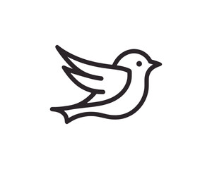 Flying bird logo design icon symbol vector illustration.