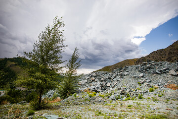 Landscape of Baihaba in summer in Altay region of Xinjiang, China