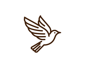 Flying bird logo design icon symbol vector illustration.