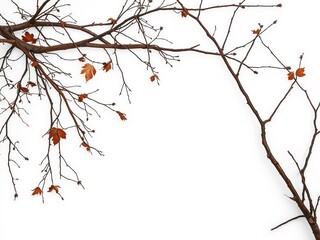 Delicate Green Leaves on a Branch Against a Soft Background Highlighting Nature's Simple Beauty