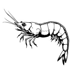 Detailed shrimp icon with segmented body and curved tail for seafood restaurant branding and digital applications