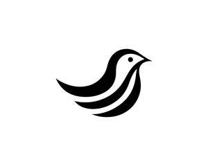 Flying bird logo design icon symbol vector illustration.