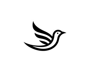 Flying bird logo design icon symbol vector illustration.