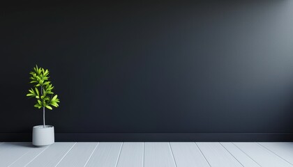 A minimalist interior featuring a potted plant against a dark wall and light floor, creating a calm and modern atmosphere.