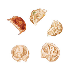 Vector of dumplings
