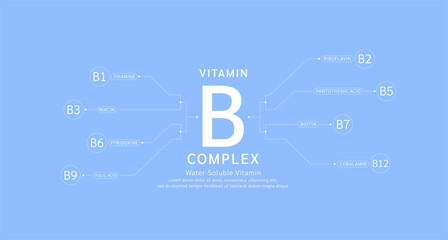 Vitamin B complex infographics on blue background. Water soluble vitamins nutrients essential for health. Used for design dietary supplement products. Medical science concept. Banner vector EPS10.
