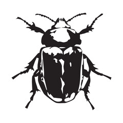 black and white beetle animal illustration vector, for tattoo, types of animals, on white background.