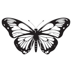 black and white butterfly animal illustration vector,for tattoo,animal types,on white background.