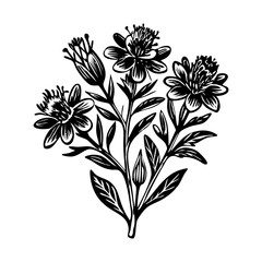 A vintage style illustration of wildflowers