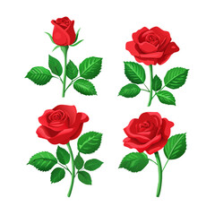 Naklejka premium Set of 4 red roses vector illustration