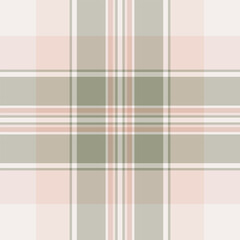 Cute fabric seamless plaid, india texture tartan pattern. Idea textile vector check background in white and pastel colors.