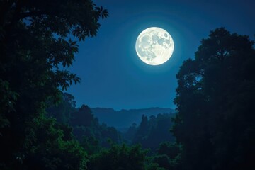 Fototapeta premium A bright full moon shines down on a dense jungle at night, foliage, trees, full moon
