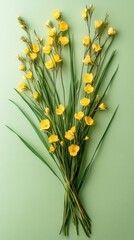 Delicate yellow sparaxis flowers with vibrant green leaves on a soft pastel green background in a studio shot evoking springtime freshness and natural beauty