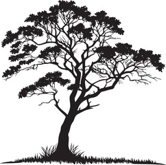 Brazilwood tree silhouette vector illustration
