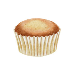 Cupcake without cream watercolor illustration on white. For birthday, party, wedding typography, packaging for bakery, labels, cards