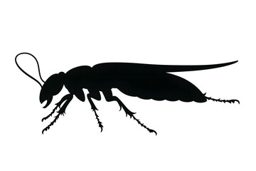 Insect Silhouette: Detailed Ant Illustration, Black and White Vector Graphic
