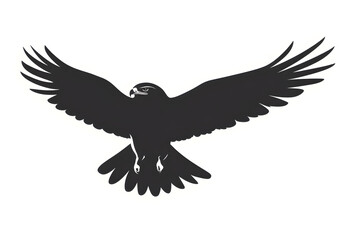 Fototapeta premium Majestic Hawk Soaring High, Wings Spread Wide, Freedom in Flight, A Symbol of Power, Graceful Raptor