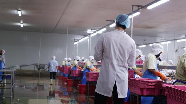 Male foreman walks around inspecting and overseeing the work of selecting clean fresh fish done by foreign workers in the fresh fish raw material room ensure quality canned fish and surimi factory.