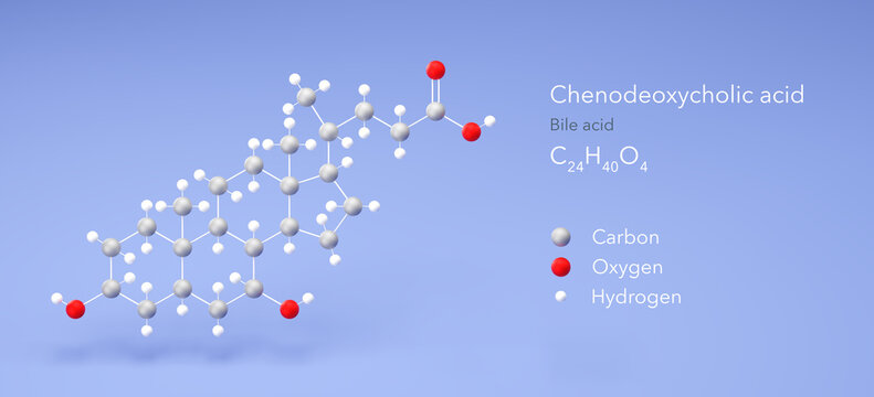 chenodeoxycholic acid molecule, molecular structure, bile acid 3d model, Structural Chemical Formula and Atoms with Color Coding