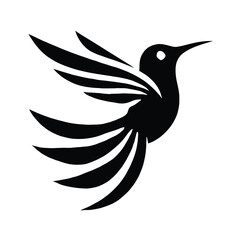 Fototapeta premium Hummingbird Flight