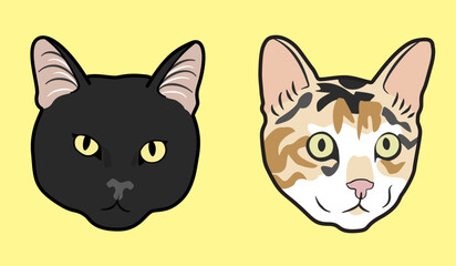 Cat Faces Duo vector SET. Bicolor and Black cat in eps